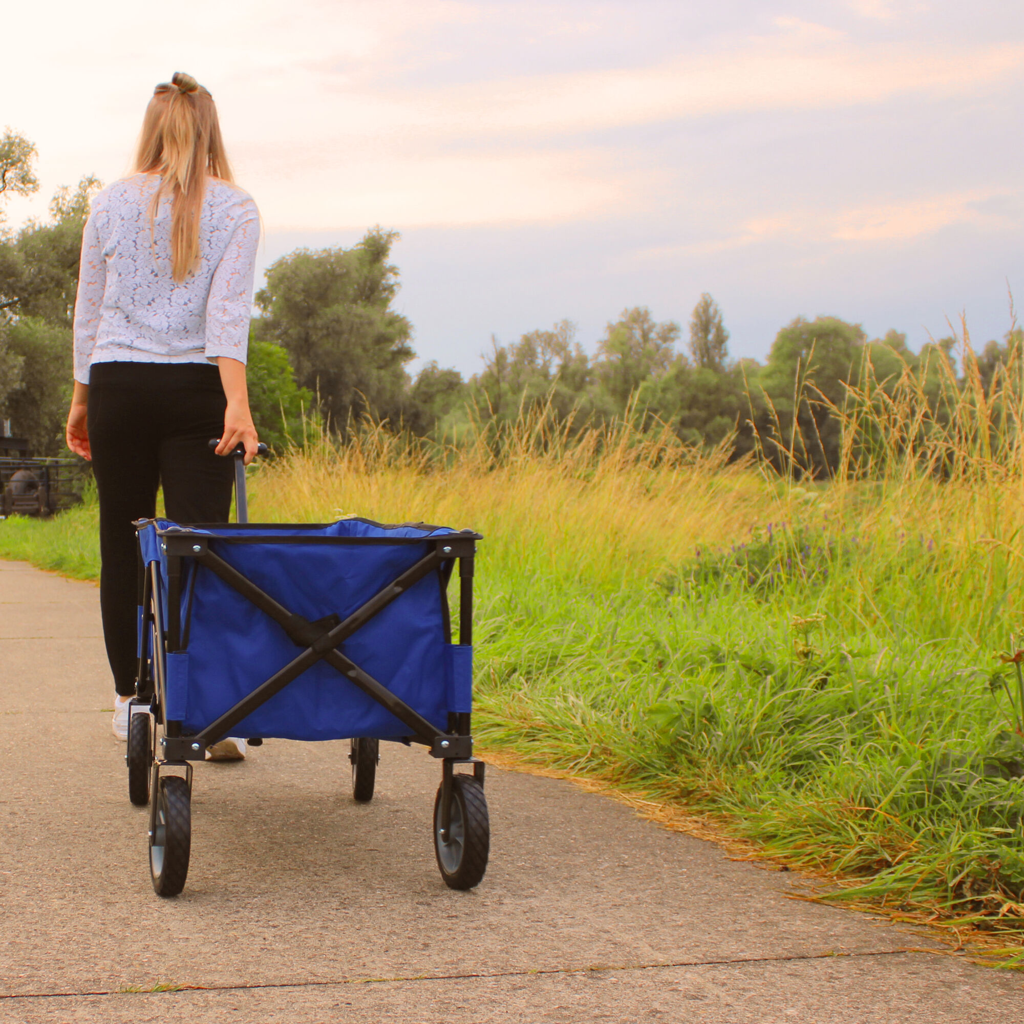 AXI AB110 Opvouwbare Bolderwagen Blauw