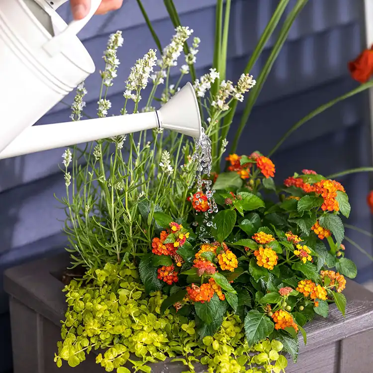 Step2 Lakewood Plantenbak - Donker Ceder