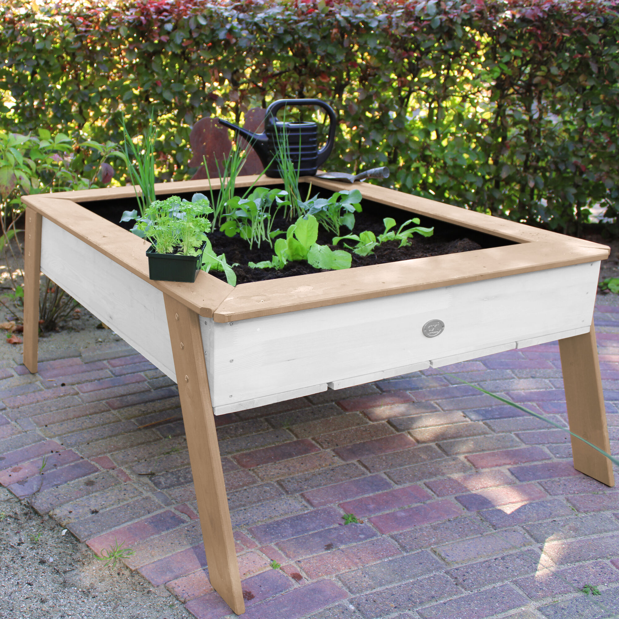 AXI Linda Zand & Kweektafel Bruin/wit