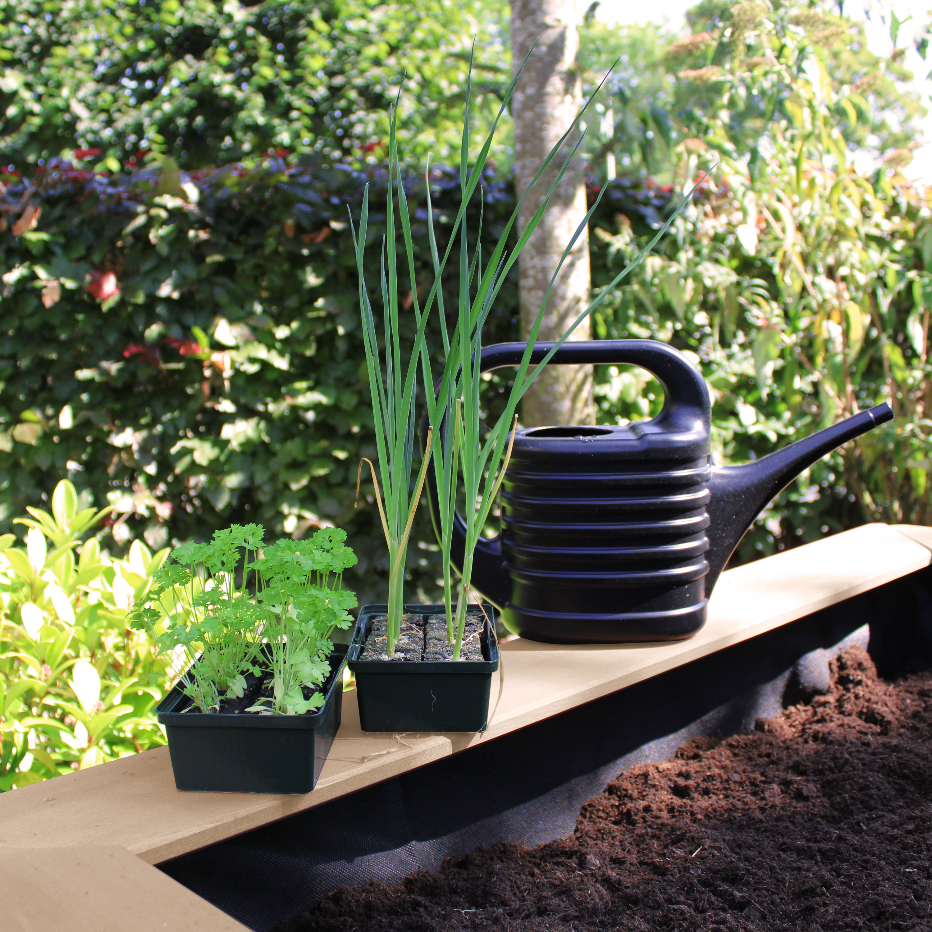 AXI Linda Sand & Gardening Table - Brown/White