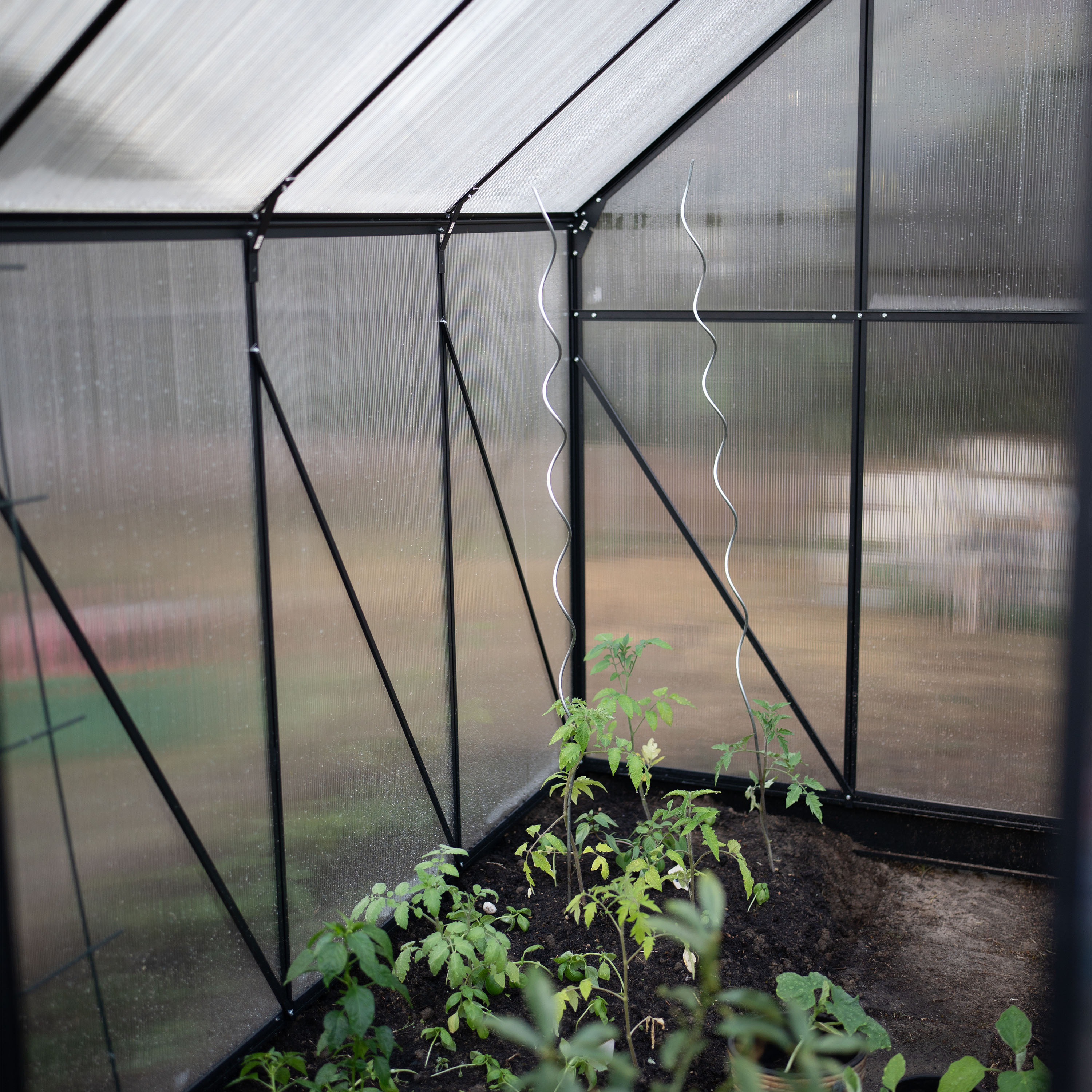 AXI Simon Greenhouse Polycarbonate - Black 310x190x207 cm