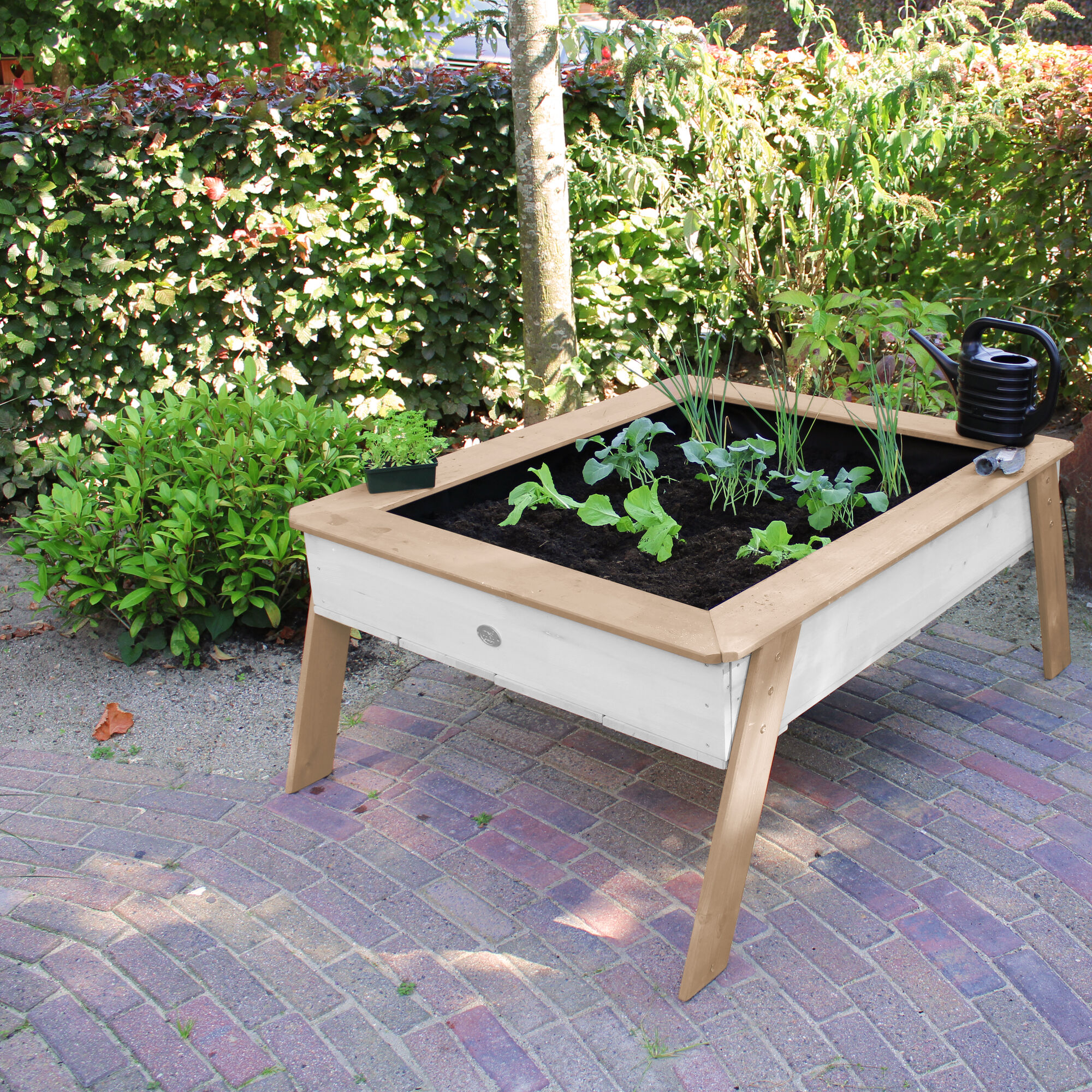 AXI Linda Zand & Kweektafel Bruin/wit