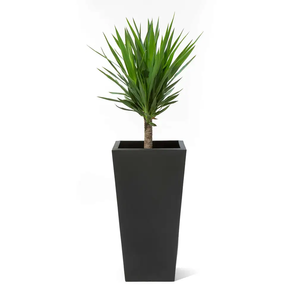 Step2 Tremont Vierkant Bloempot Groot - Onyx Black