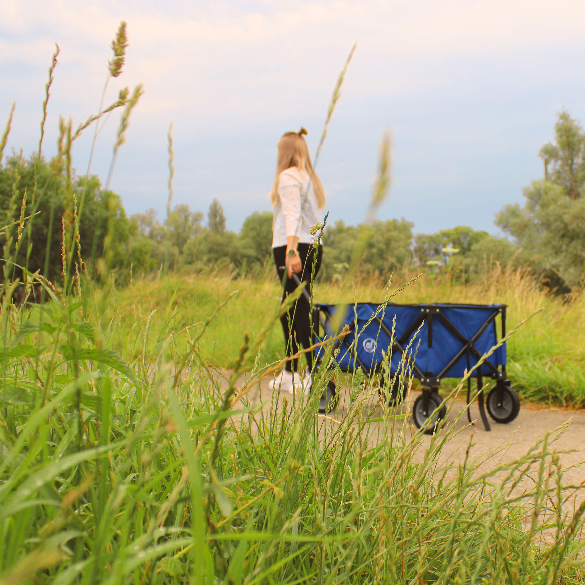 AXI AB110 Opvouwbare Bolderwagen Blauw