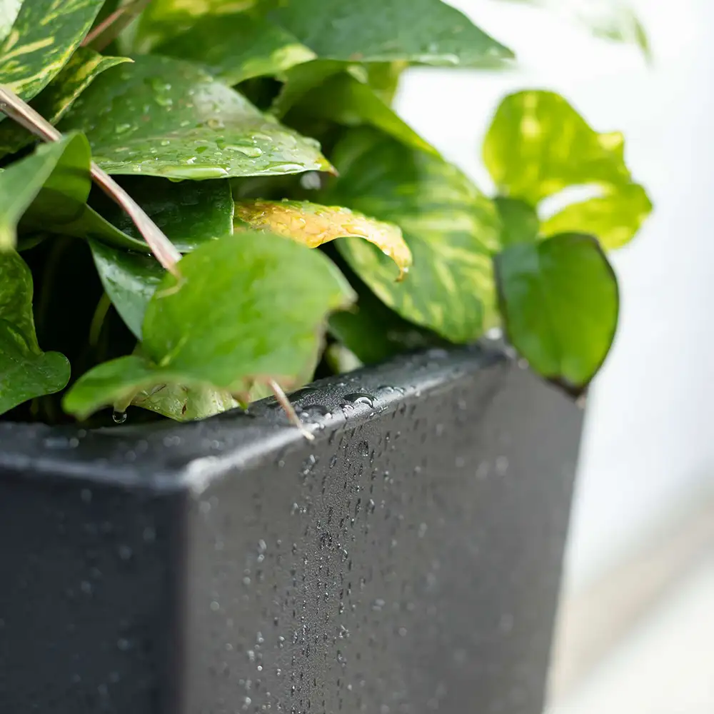 Step2 Tremont Vierkant Bloempot Groot - Onyx Black