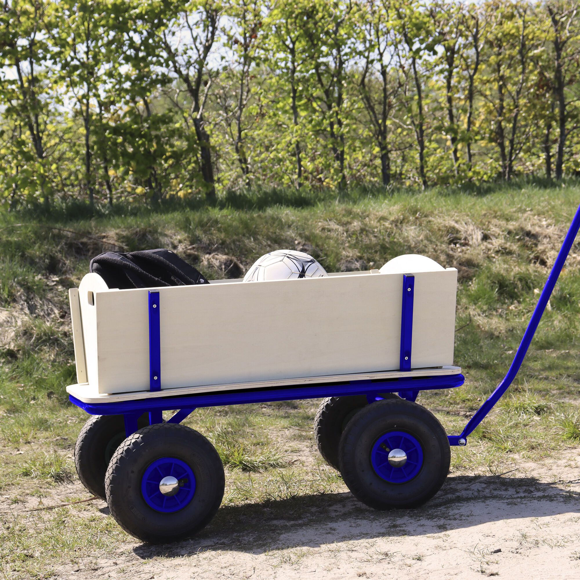 Sunny Billy Beach Wagon Blauw